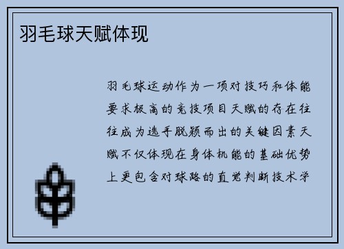 羽毛球天赋体现